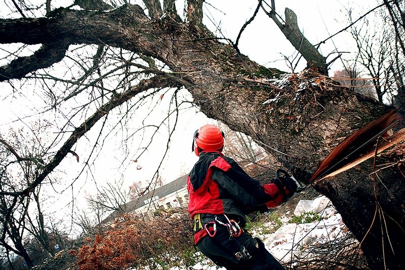 Stump Removal Melbourne