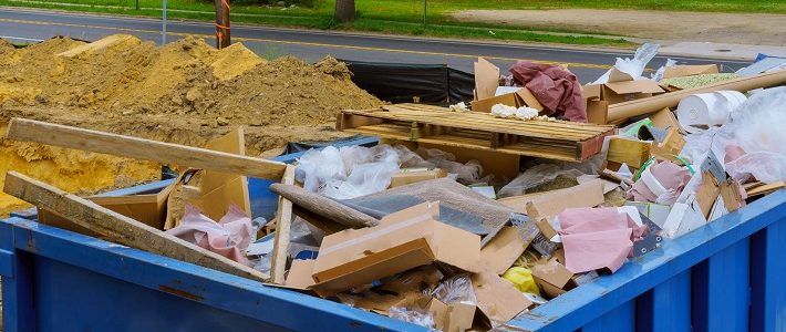 Importance of Hiring Skip Bins From The Best Company