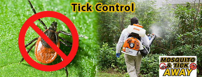 MA Tick Control Lyme Disease.