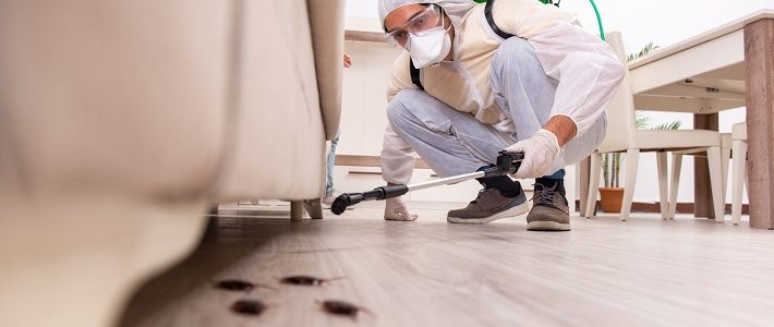 Why Is It Necessary To Complete Pest Control Inspection?