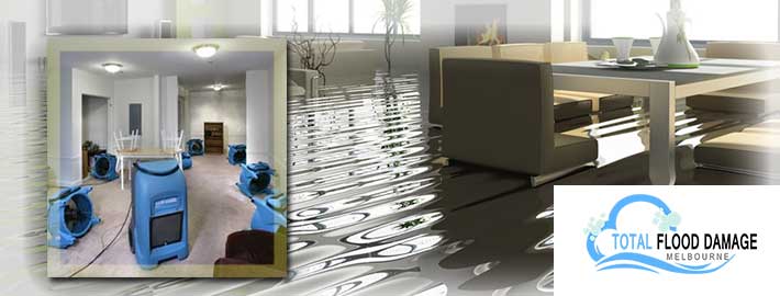 carpet cleaning flood damage